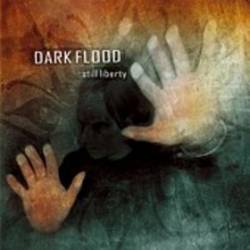 Dark Flood : Still Liberty
